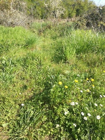 Annexe 91875677_921353228318024_7044935014819037184_n.jpg