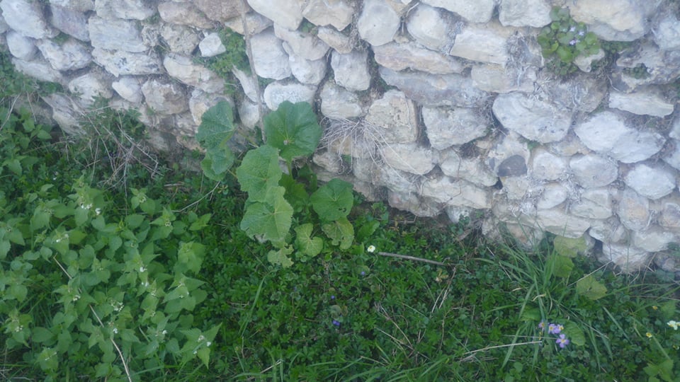 Annexe 91582709_515993549077889_6754879810142470144_n.jpg