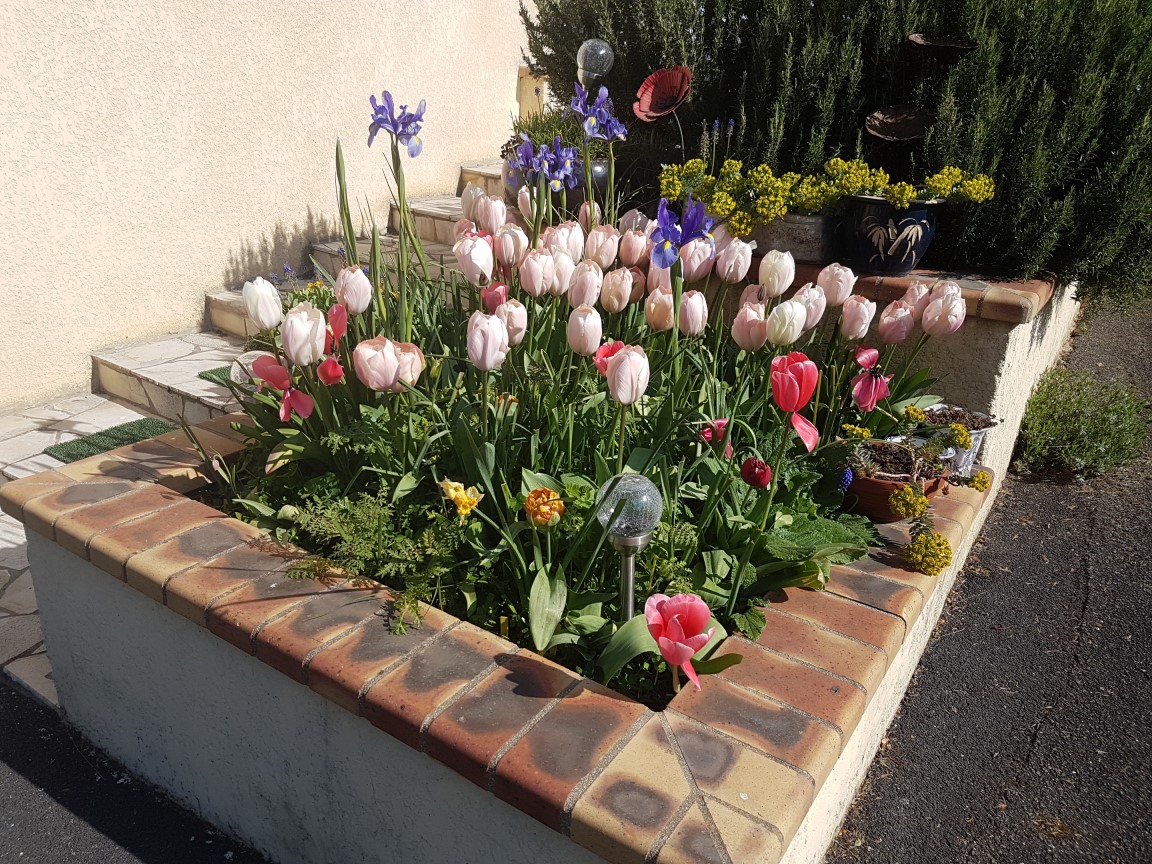 Annexe Image massif .jpg