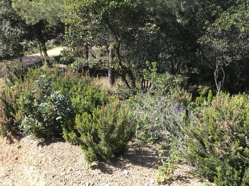 Annexe Biodiversité (2)_resultat_resultat.jpg