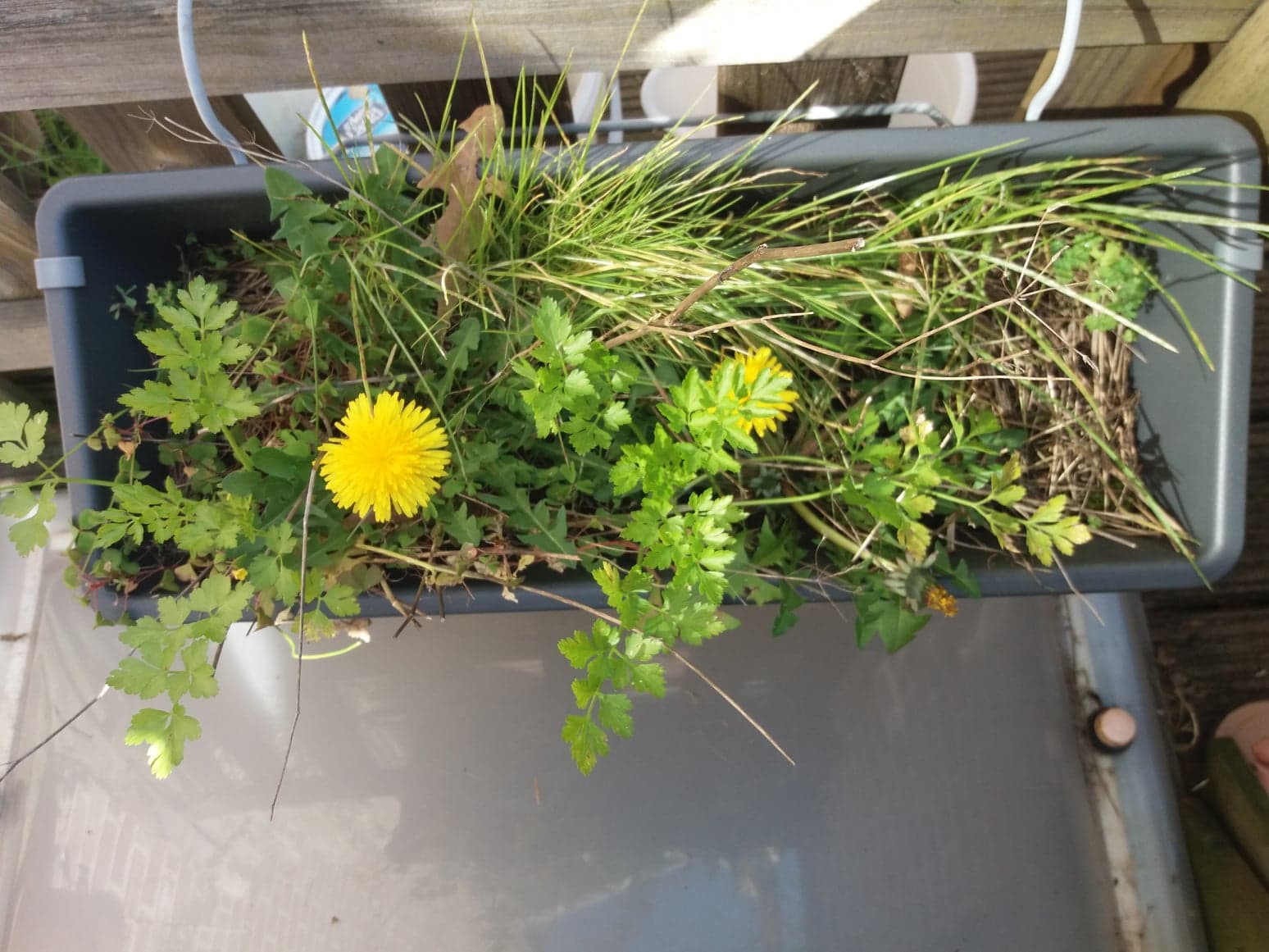 Annexe 92017857_633908517165732_5951340301493731328_n.jpg