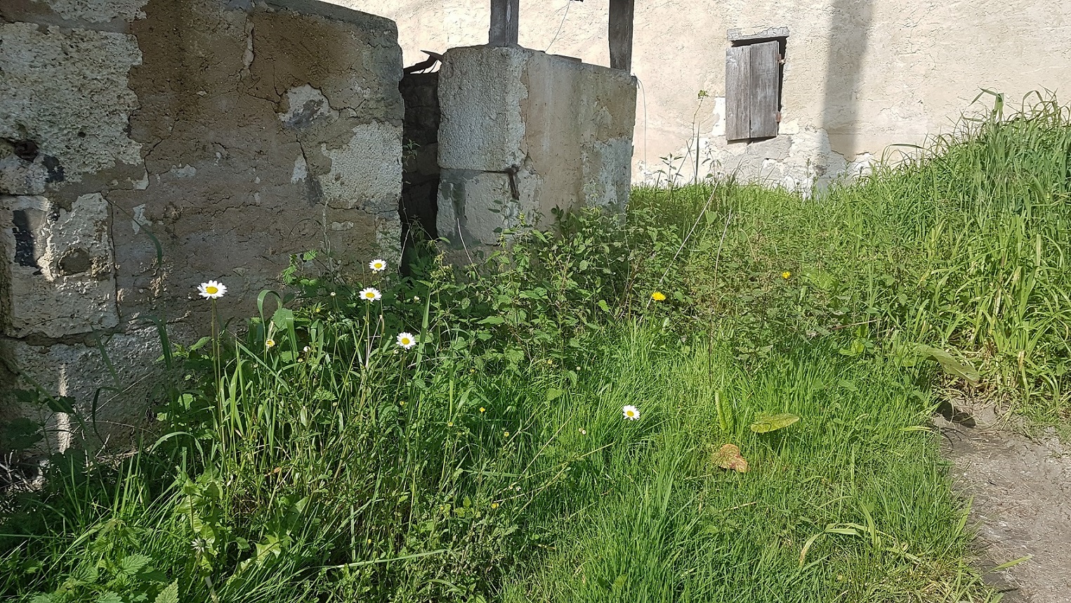 Annexe 20200402_105709.jpg