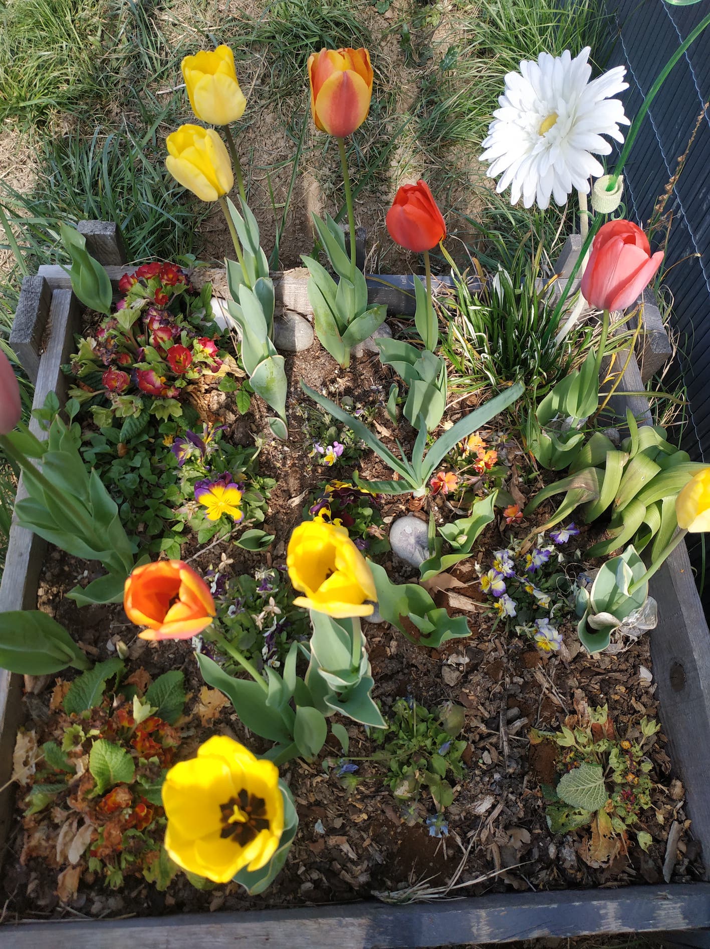 Annexe 91861373_218225689485346_2533181465051529216_n.jpg