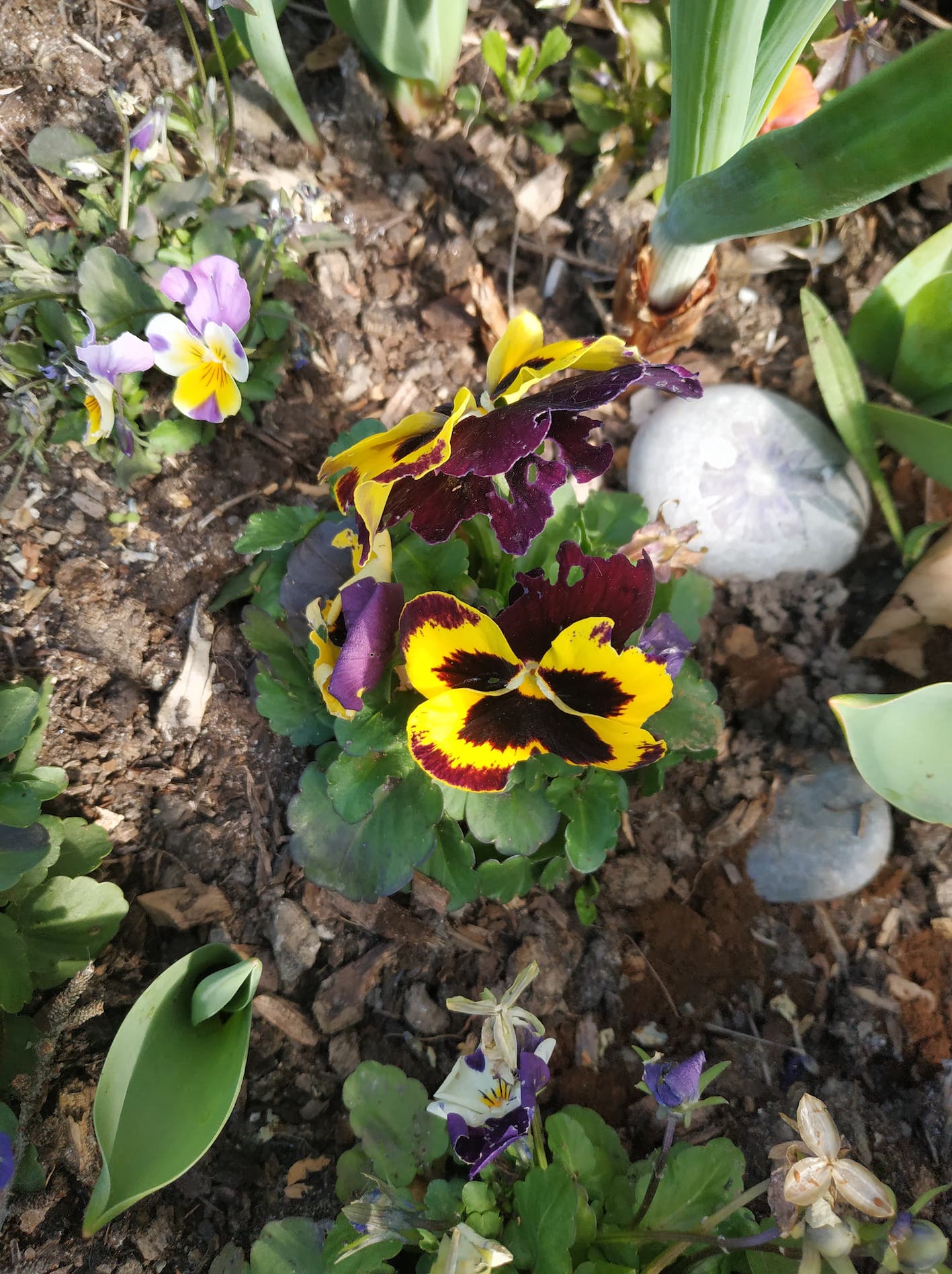 Annexe 91919386_209090153712143_4735083065951387648_n.jpg