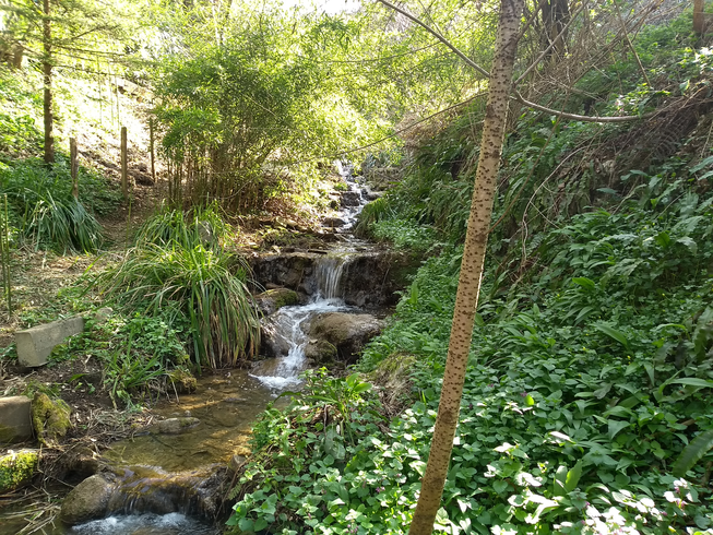 Annexe IMG_20200401_111332508.png