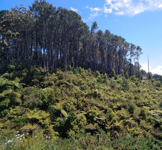 Annexe IMG_20181123_112944 (2).jpg