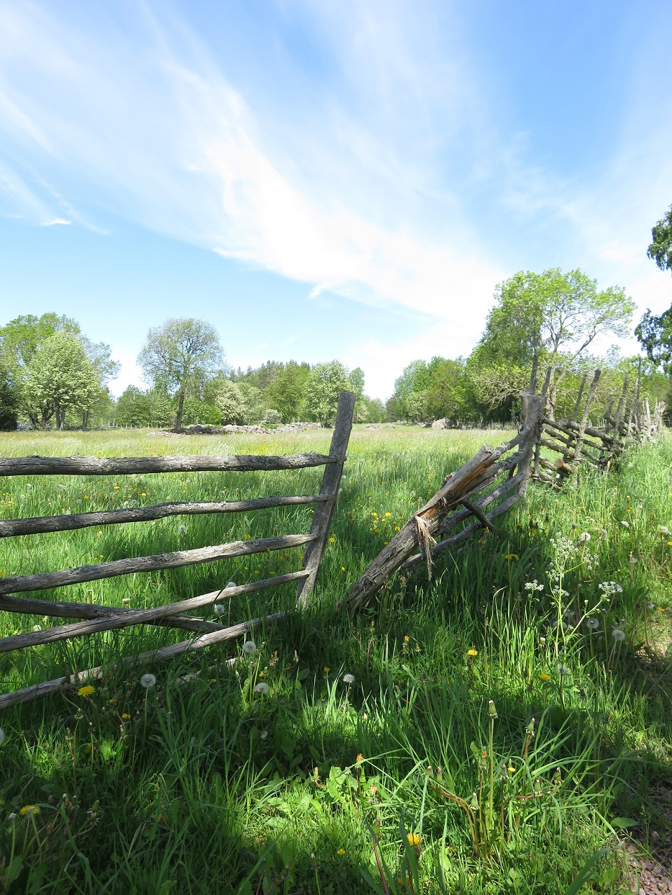 Annexe IMG_2616 - Copie.JPG