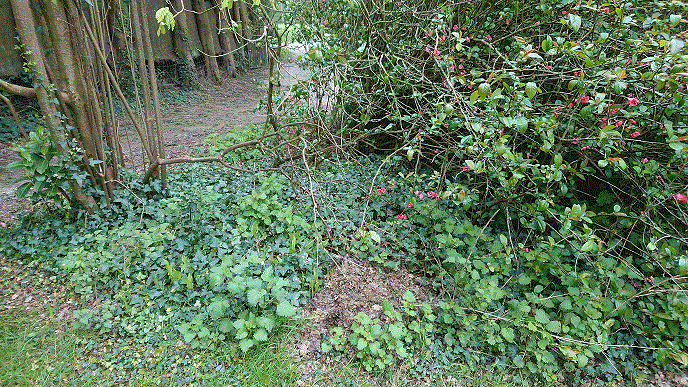 Annexe biodiversite.gif