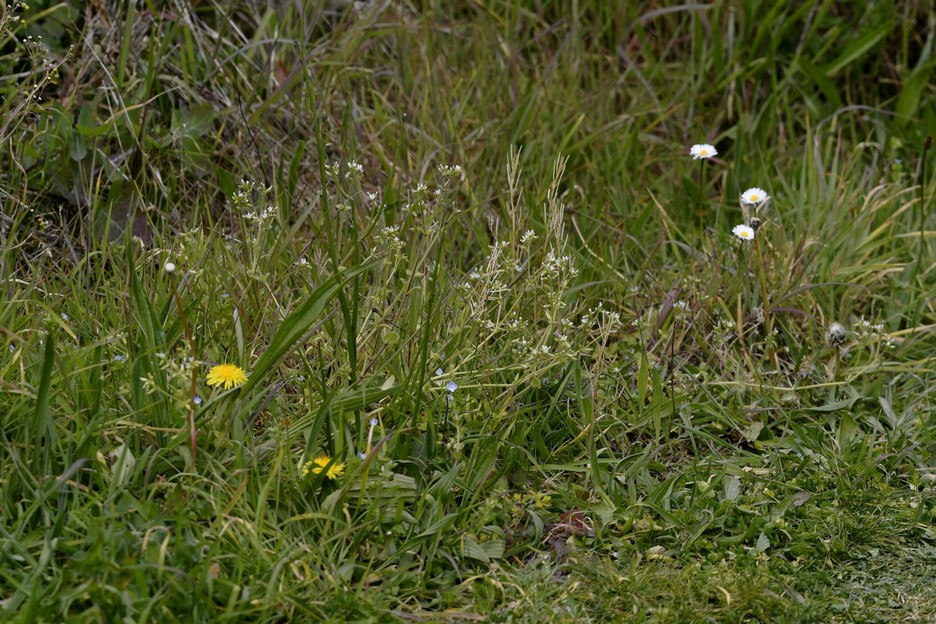 Annexe vue generale.JPG