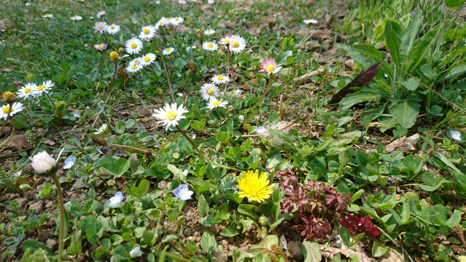 Annexe Messaging1585832327028.jpg