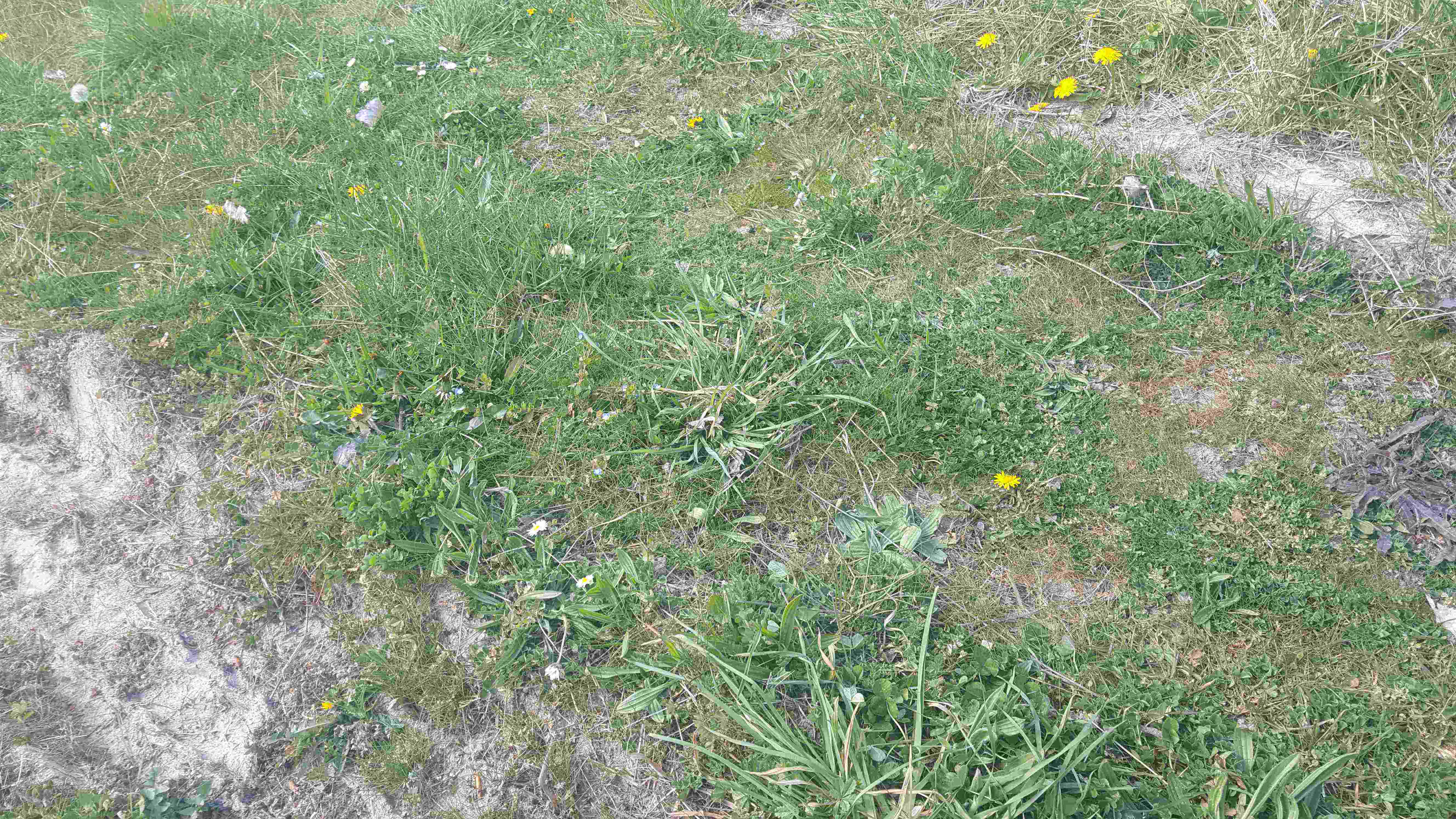 Annexe 20200402_150558.jpg