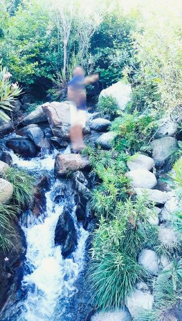 Annexe vegetation algérie.PNG