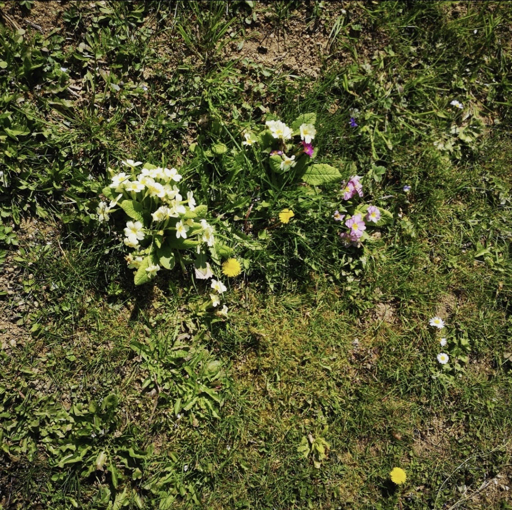 Annexe thumb_Screenshot_20200402-162128_1024.jpg