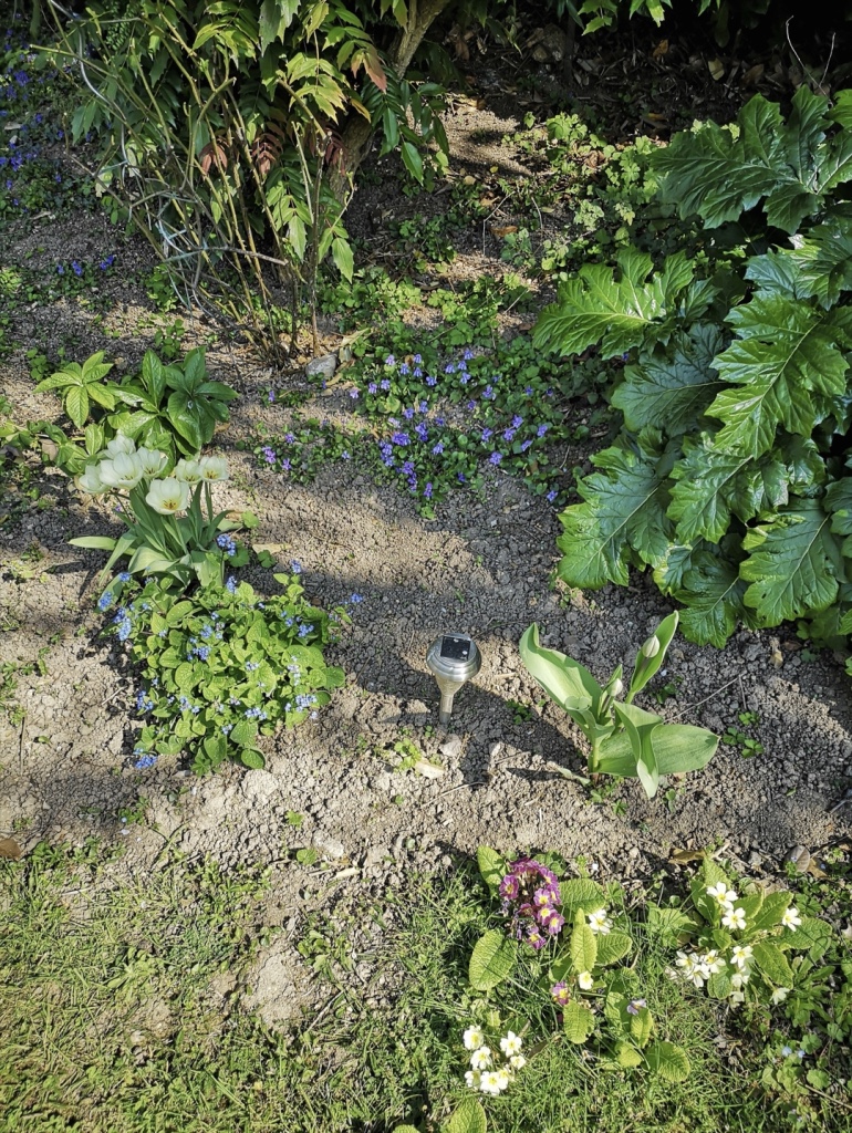 Annexe thumb_Screenshot_20200402-162141_1024.jpg