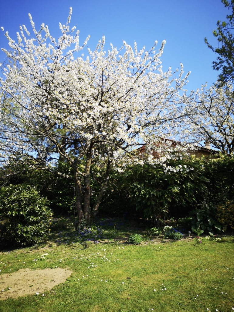 Annexe thumb_Screenshot_20200402-162152_1024.jpg