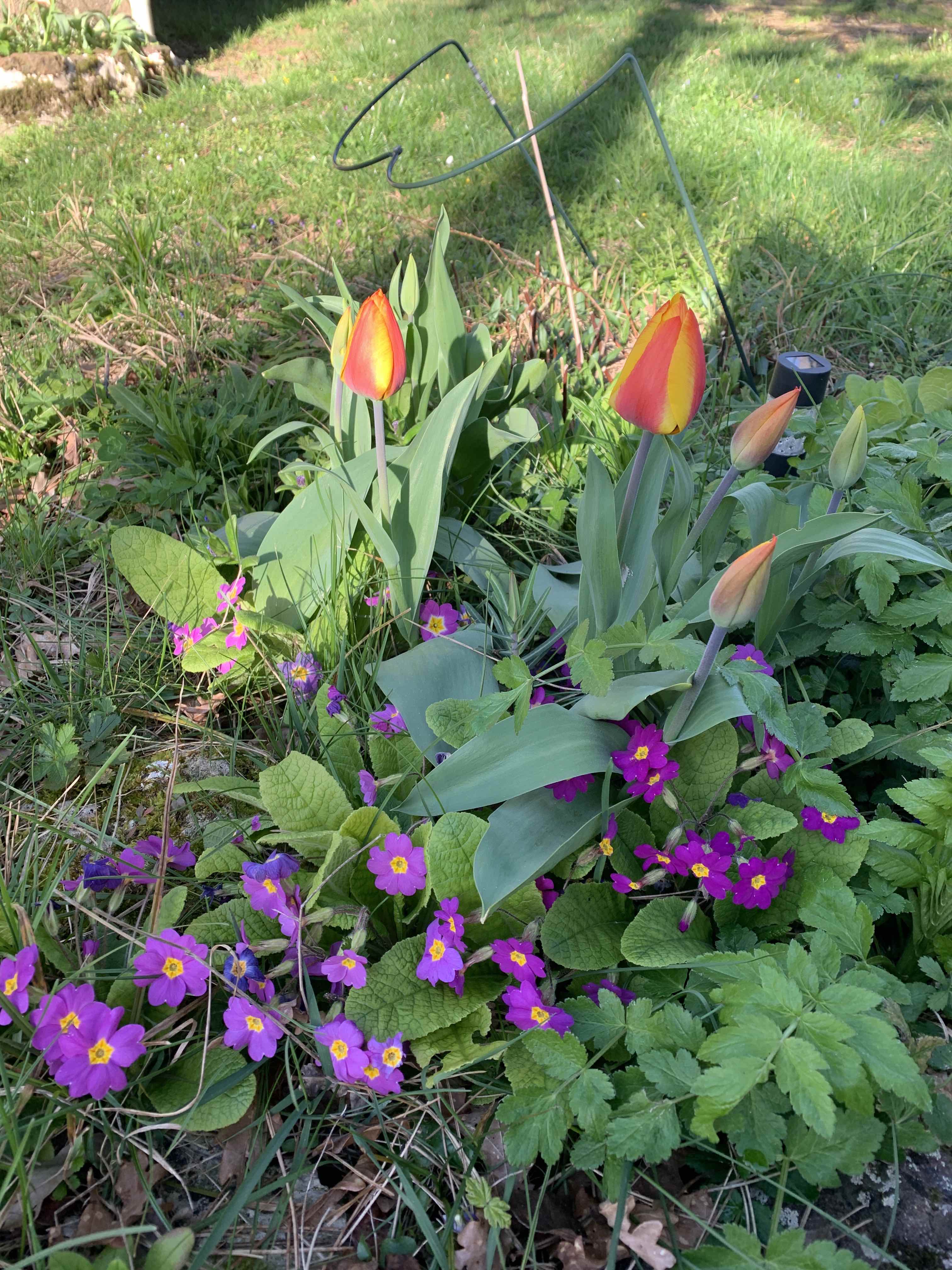 Annexe IMG_7109 2.jpg