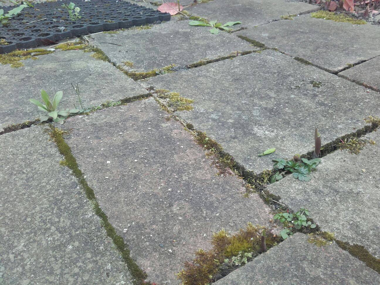 Annexe 91904497_235966364219473_7263273899264049152_n.jpg