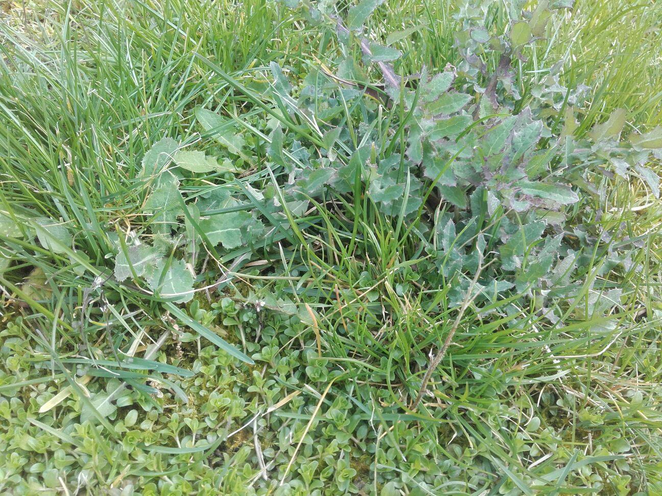 Annexe 92268685_687518088725415_3720617627496742912_n.jpg