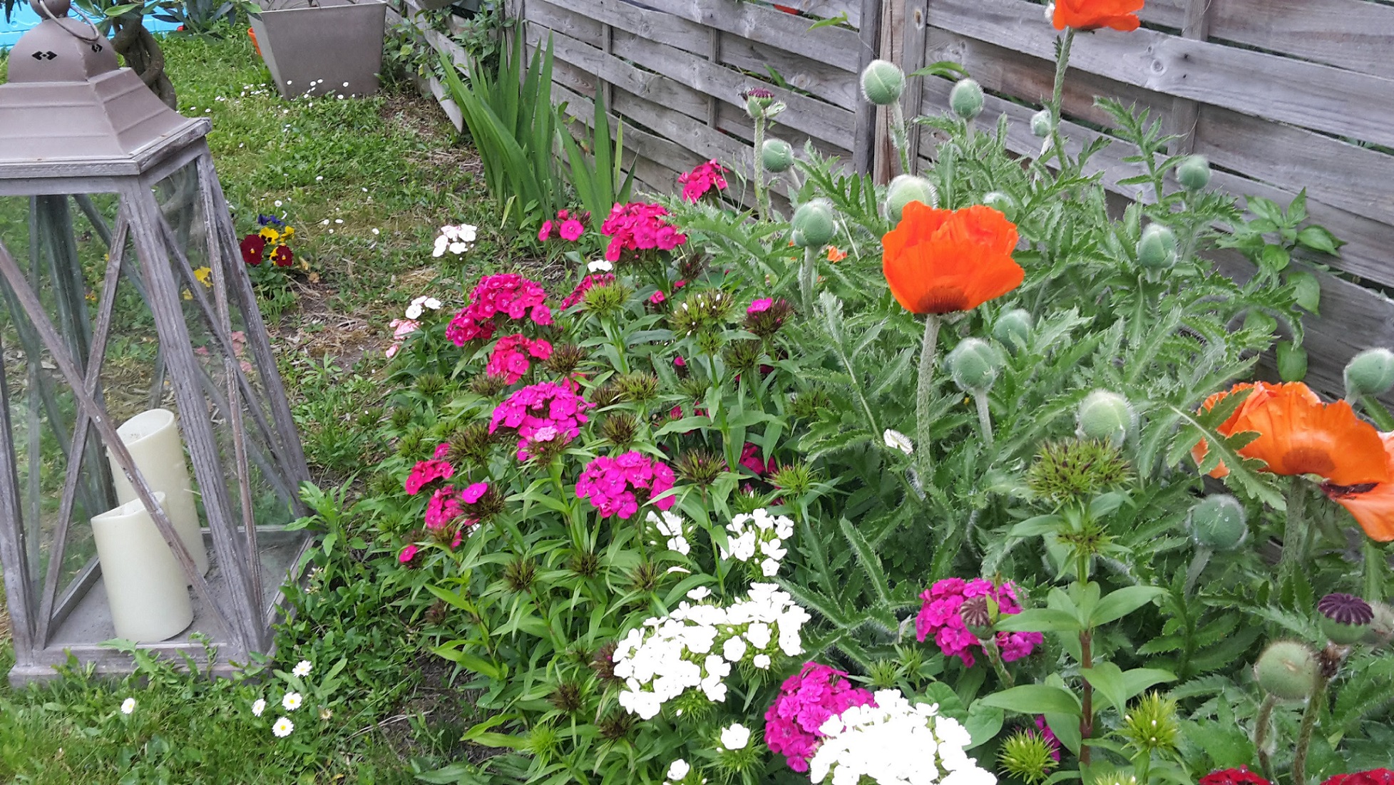 Annexe 20170518_183502.jpg