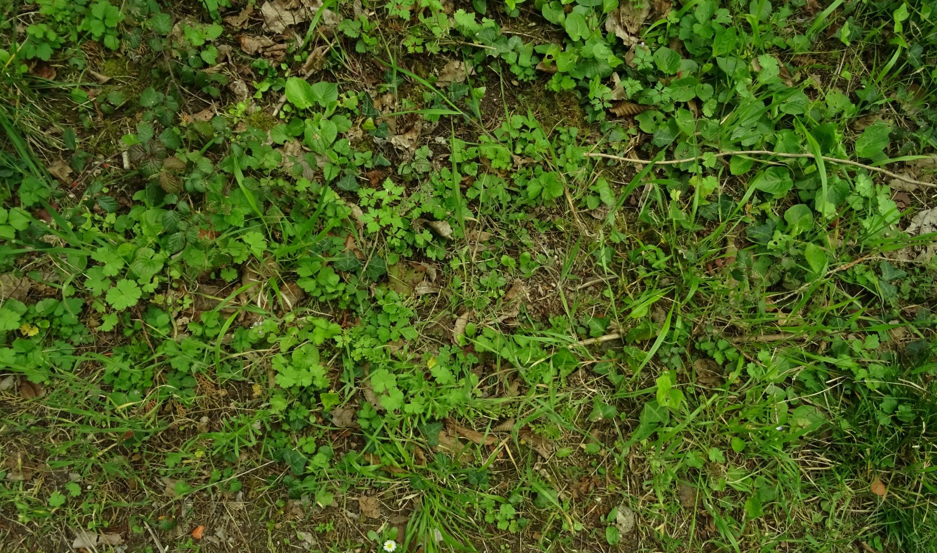 Annexe Vue densemble.JPG