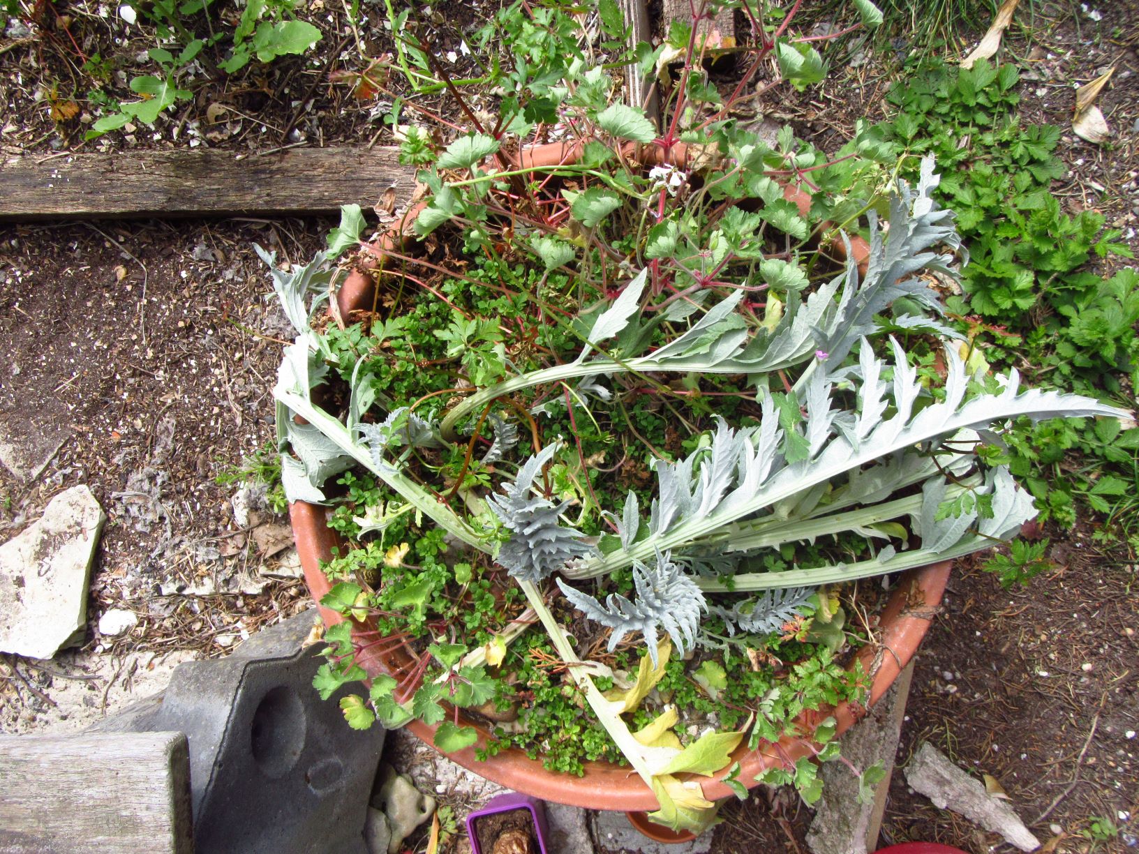 Annexe Vue générale.JPG