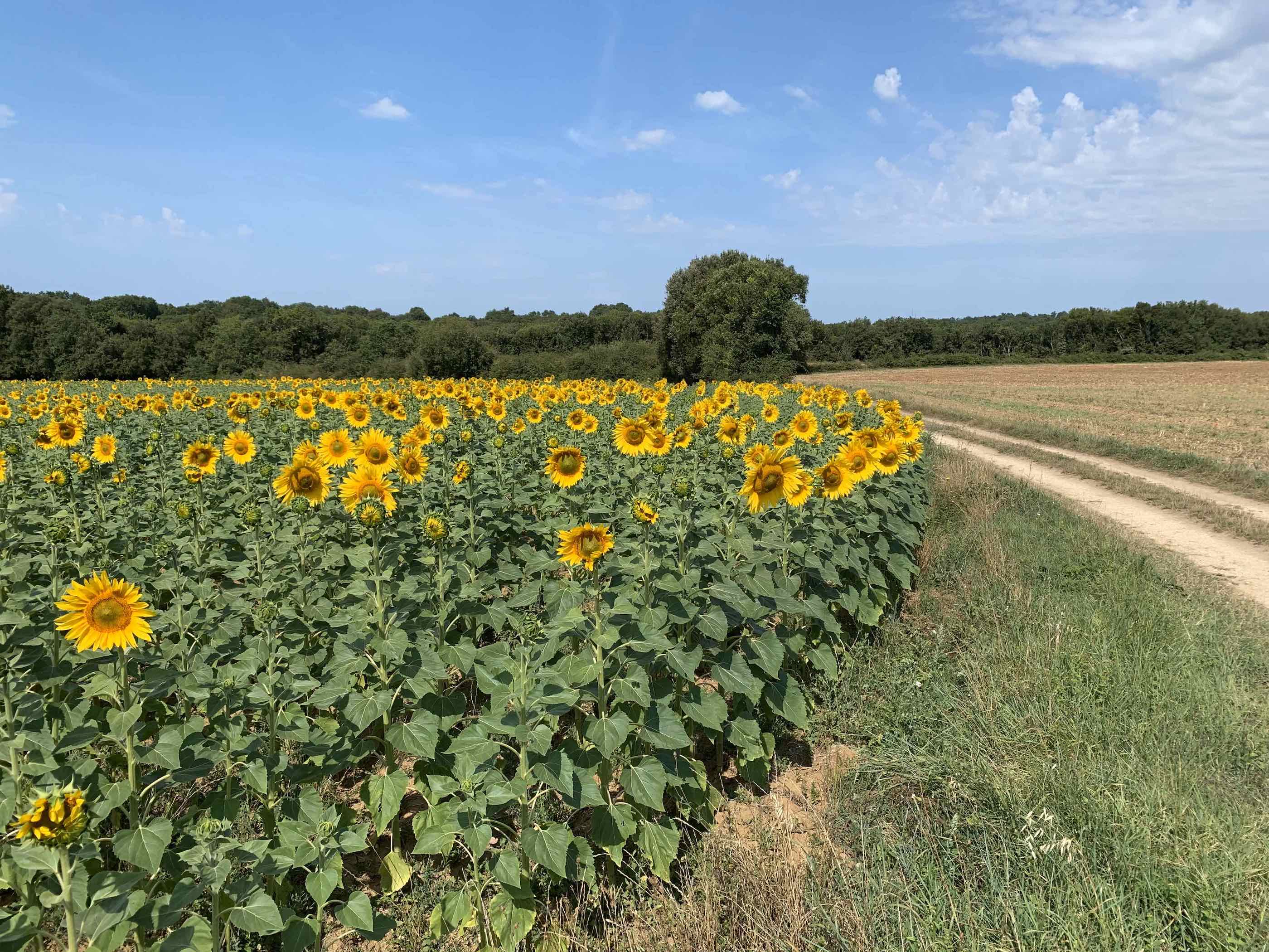 Annexe IMG_4287 (1).jpeg