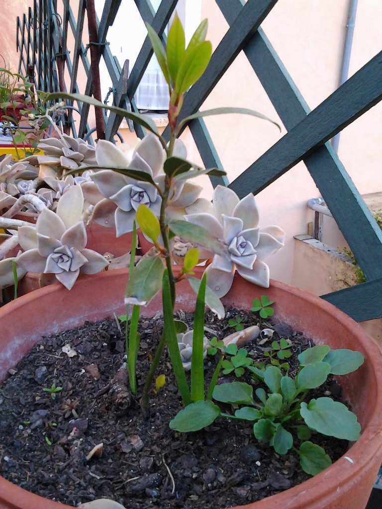 Annexe Photo1398 - Copie.jpg