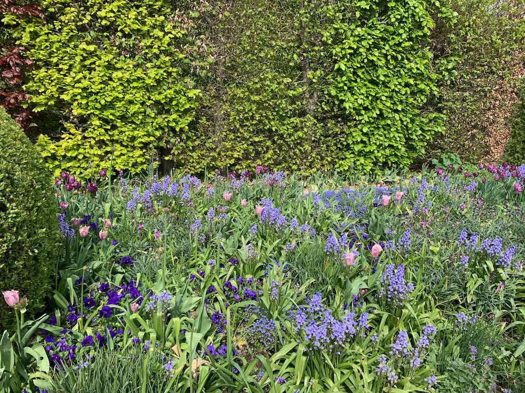 Annexe Toutes les photos - 1 sur 1.jpeg