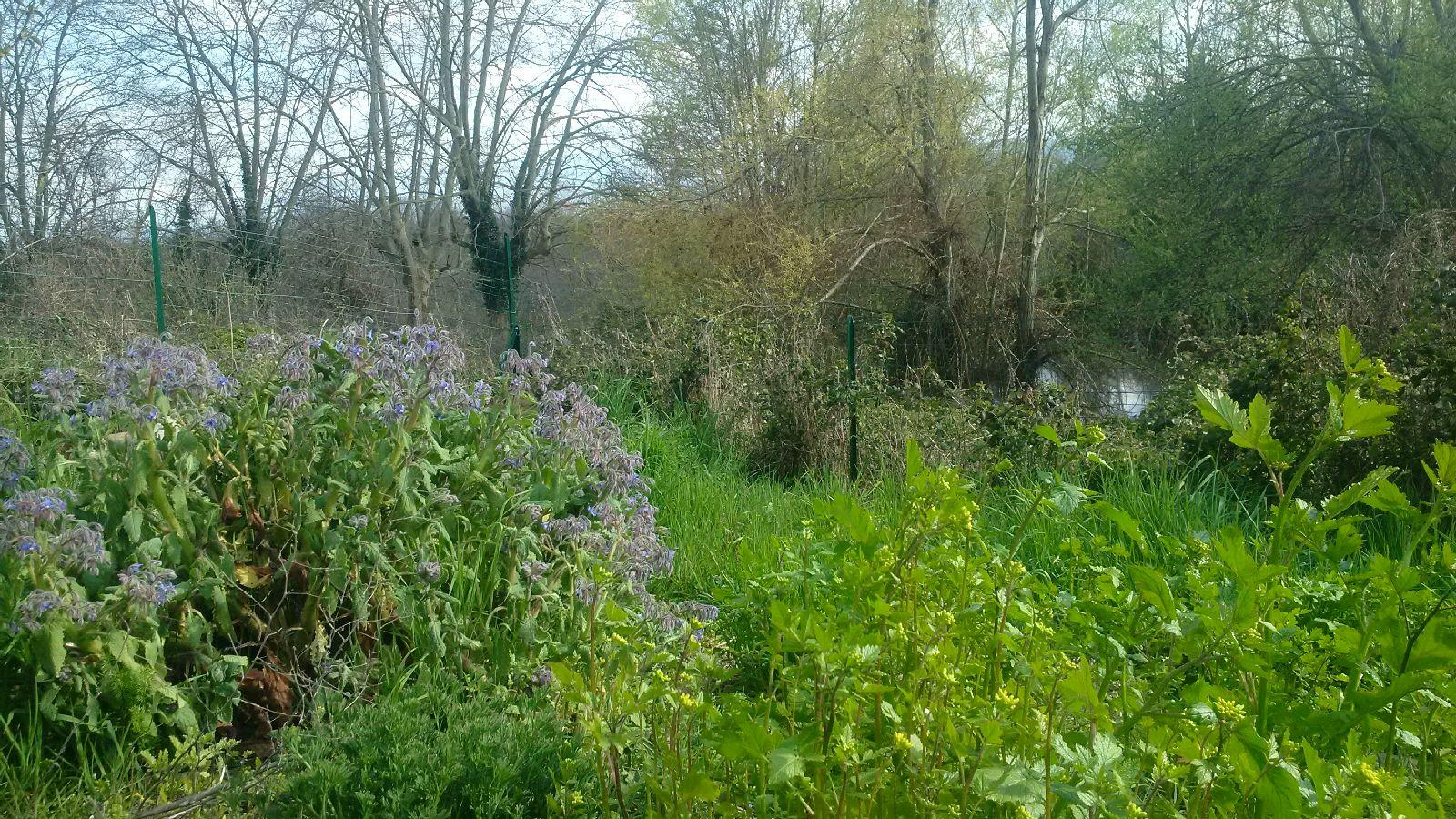 Annexe paysages .jpg