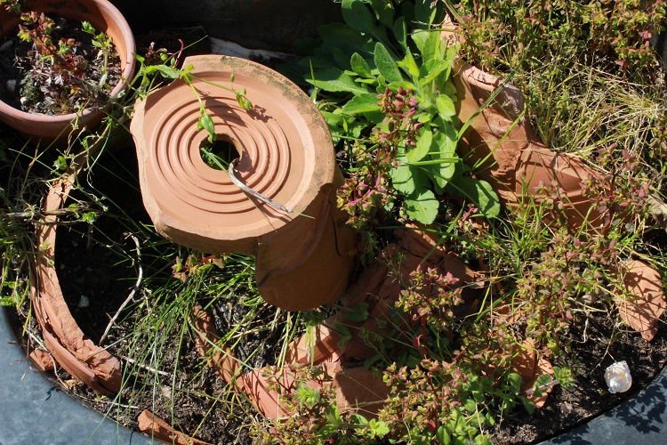 Annexe Diversités petite échelle.jpg
