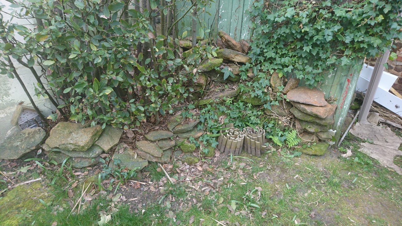 Annexe Activité 2.JPG