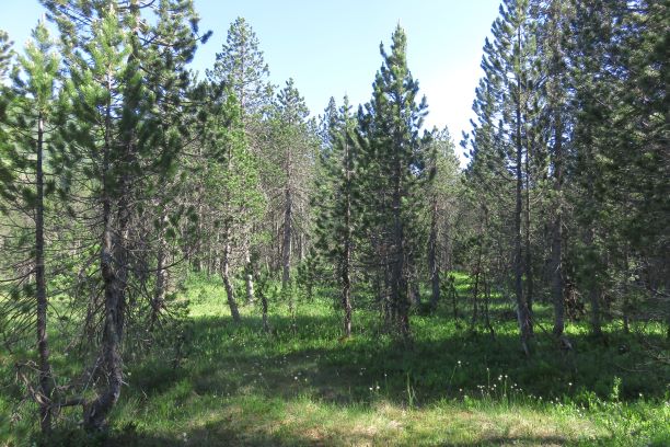 Annexe IMG_1749-1.JPG