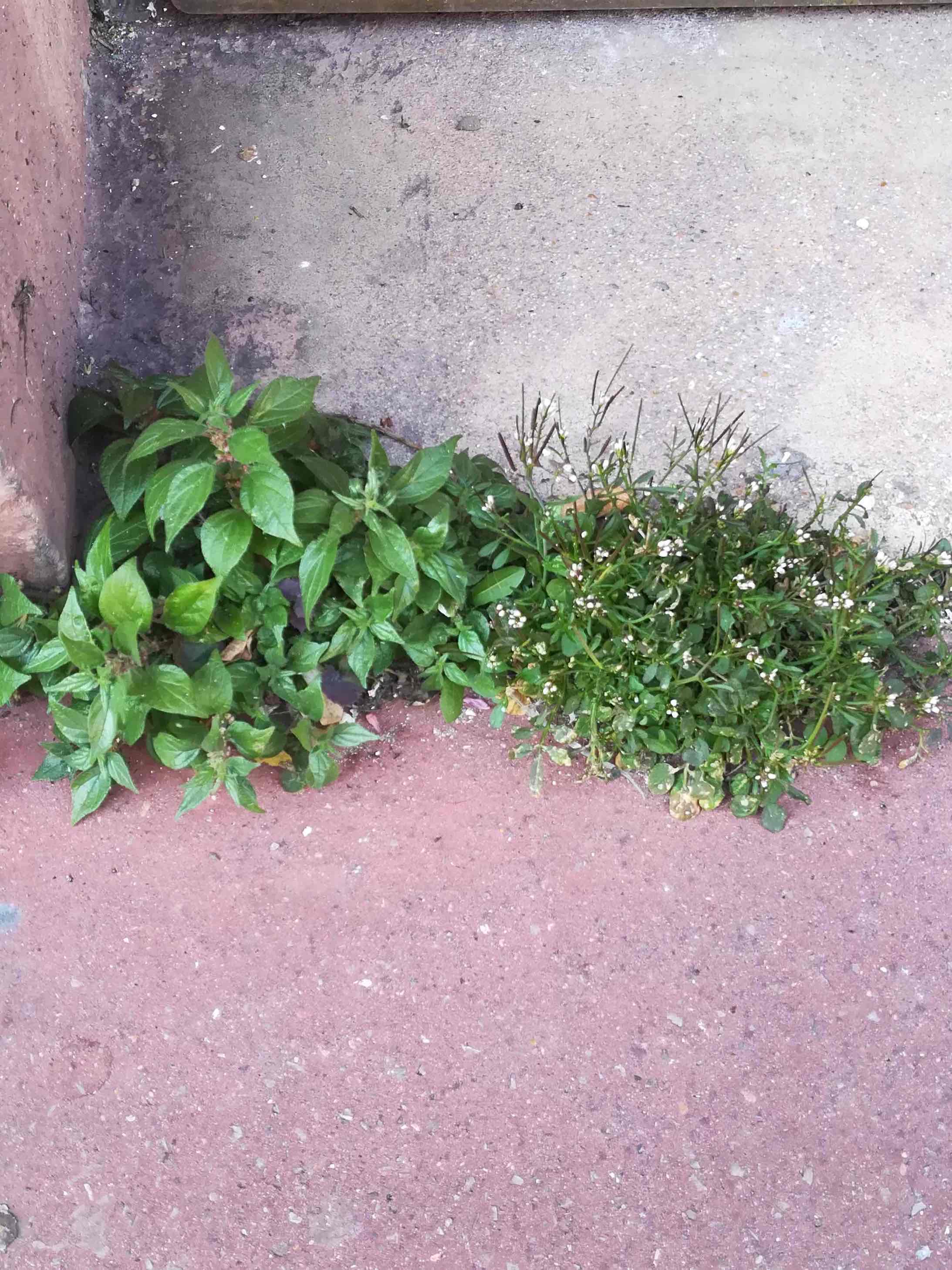 Annexe IMG_0094.jpeg