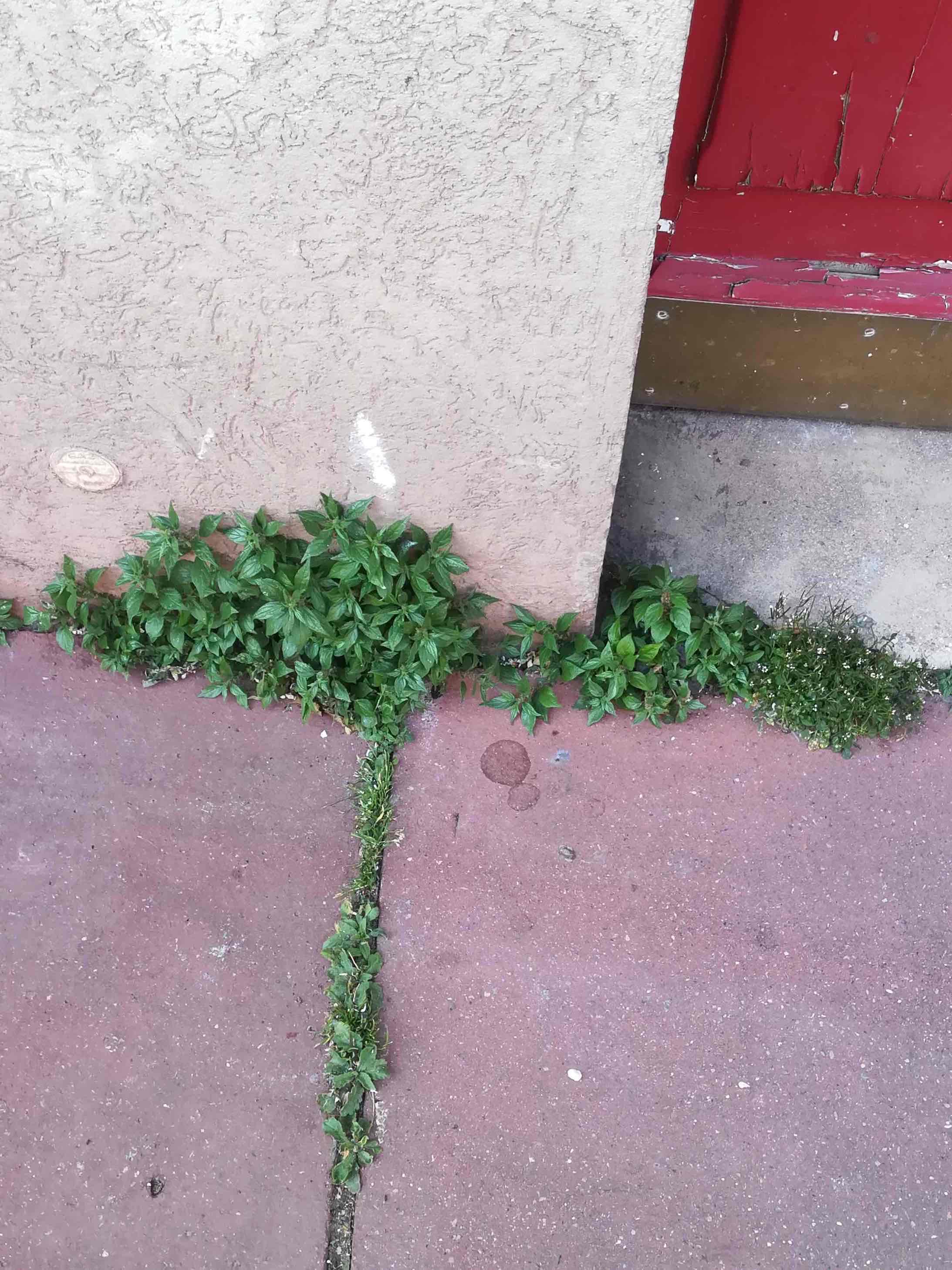 Annexe IMG_0095.jpeg