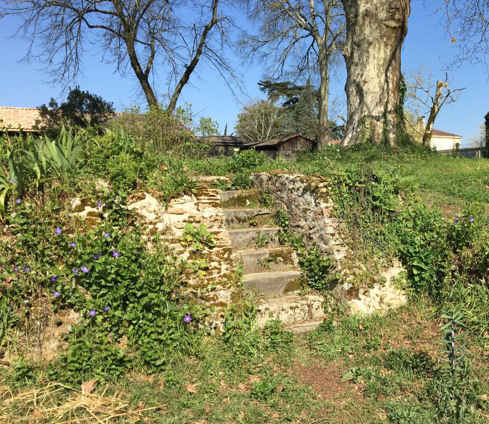 Annexe Plantes et ancien muret2.JPG