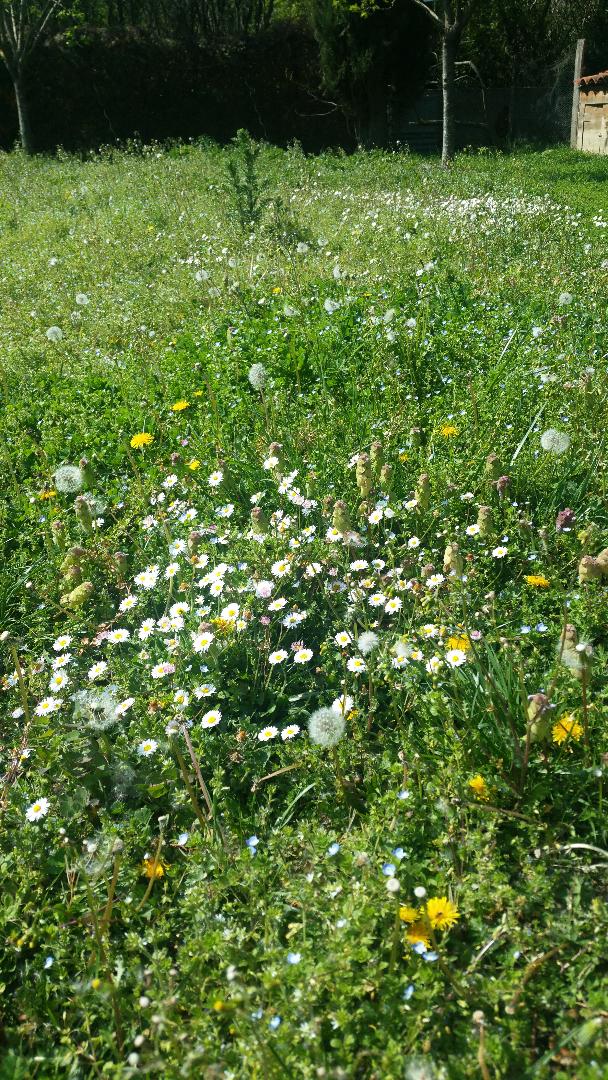 Annexe biodiversite.jpg