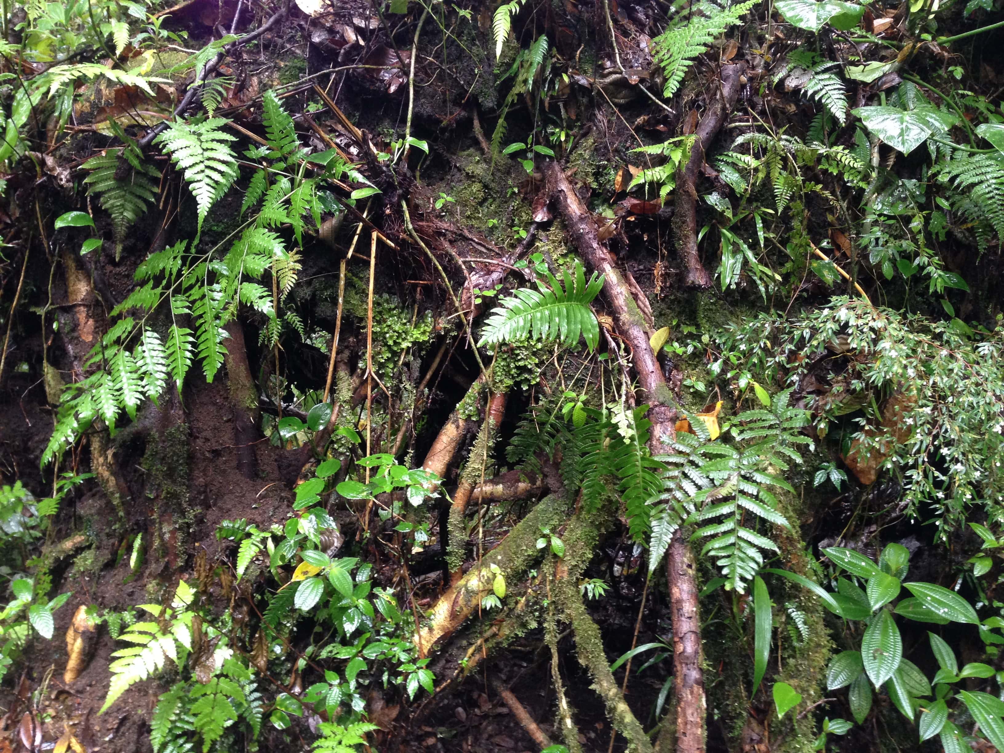 Annexe IMG_2229-min.jpg