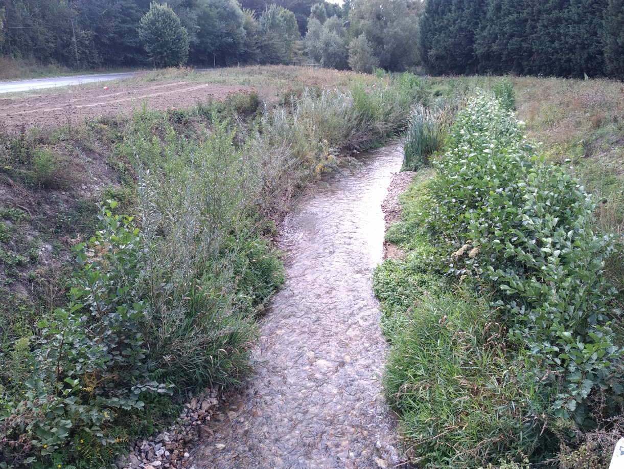 Annexe Annotation 2020-04-03 134100.jpg