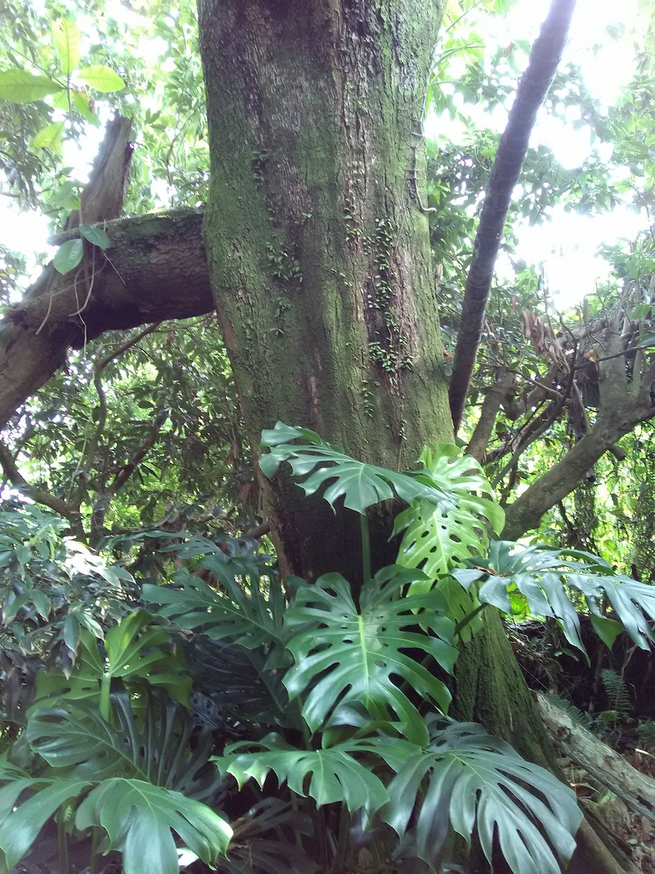 Annexe IMG_20200403_115307.jpg