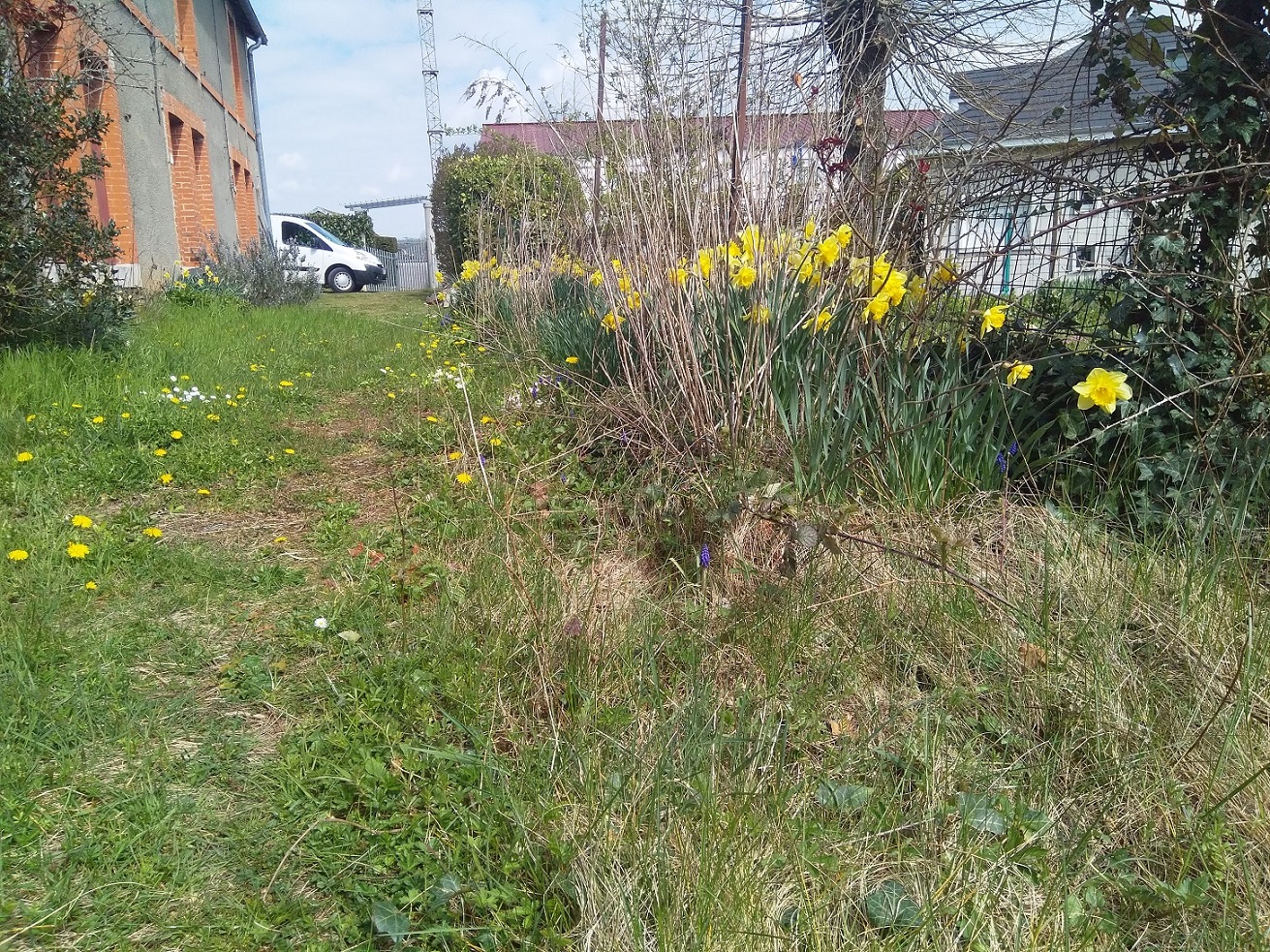 Annexe IMG_20200403_142122.jpg