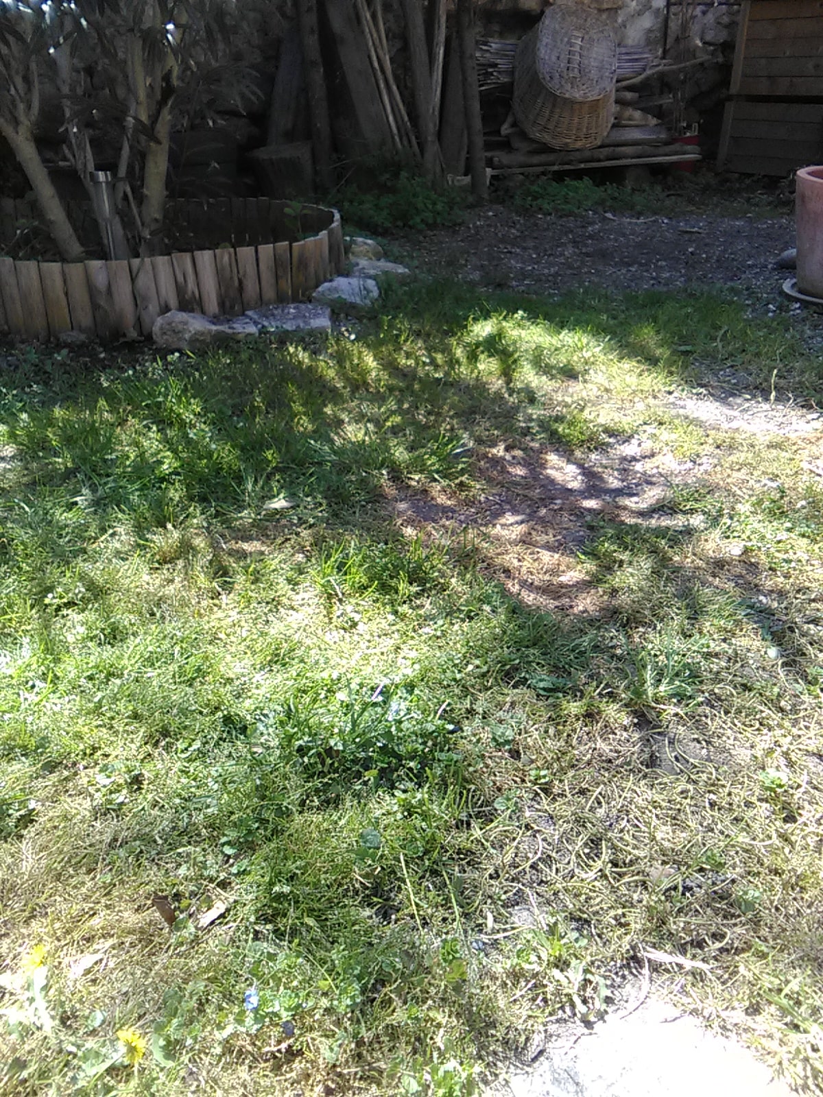 Annexe IMG_20200403_132301-min.jpg