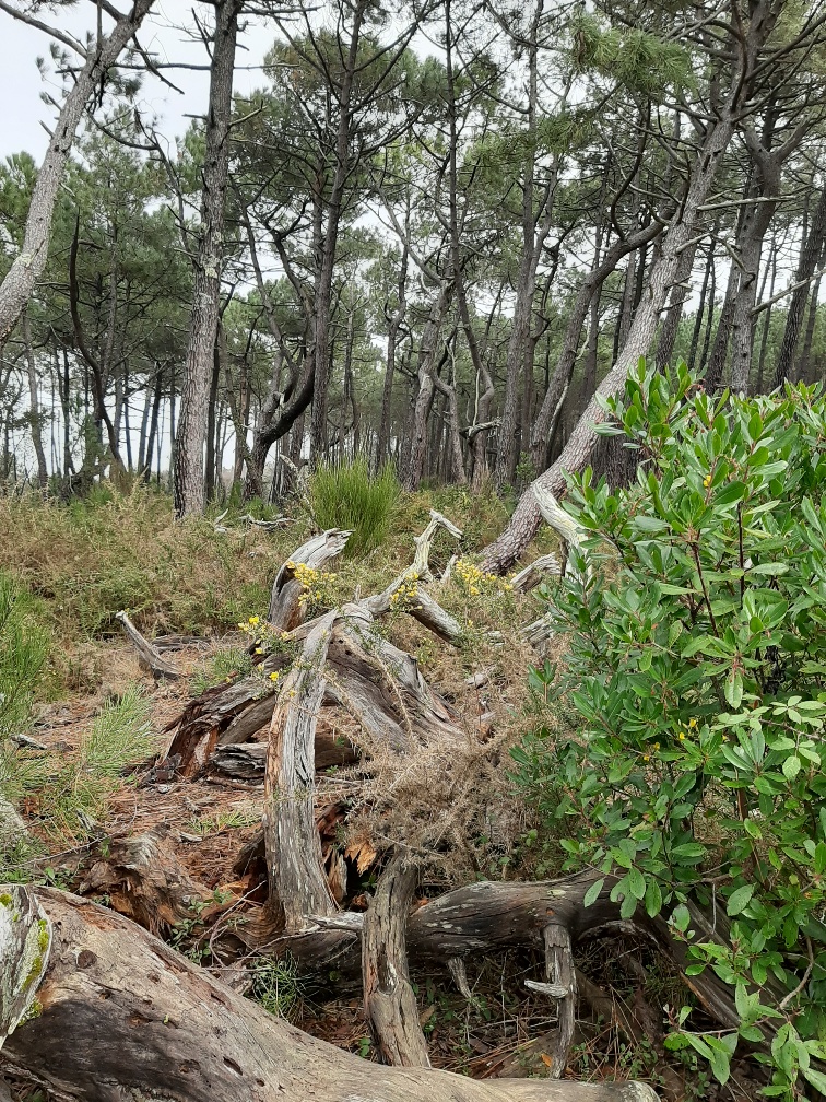 Annexe 20200228_123916_resized.jpg