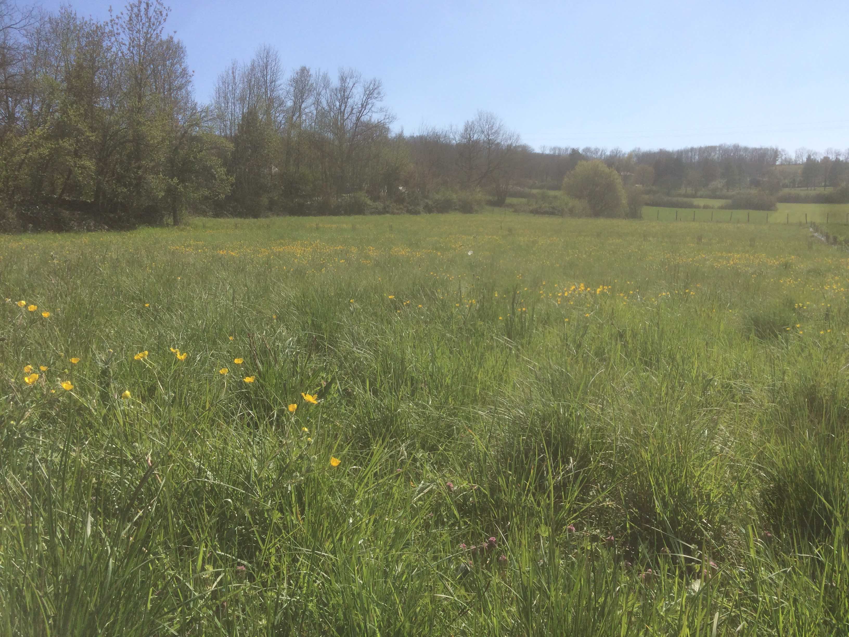 Annexe Biodiversité.jpg