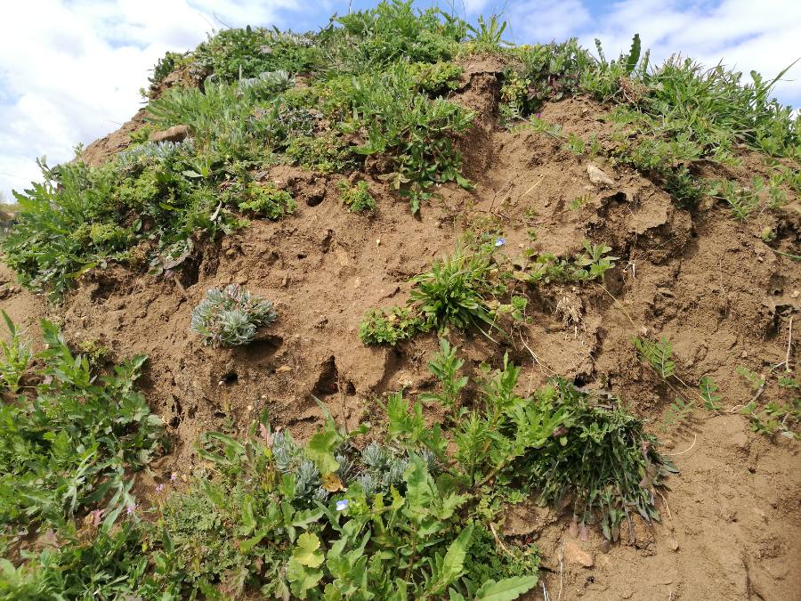 Annexe 1585921820607.JPEG