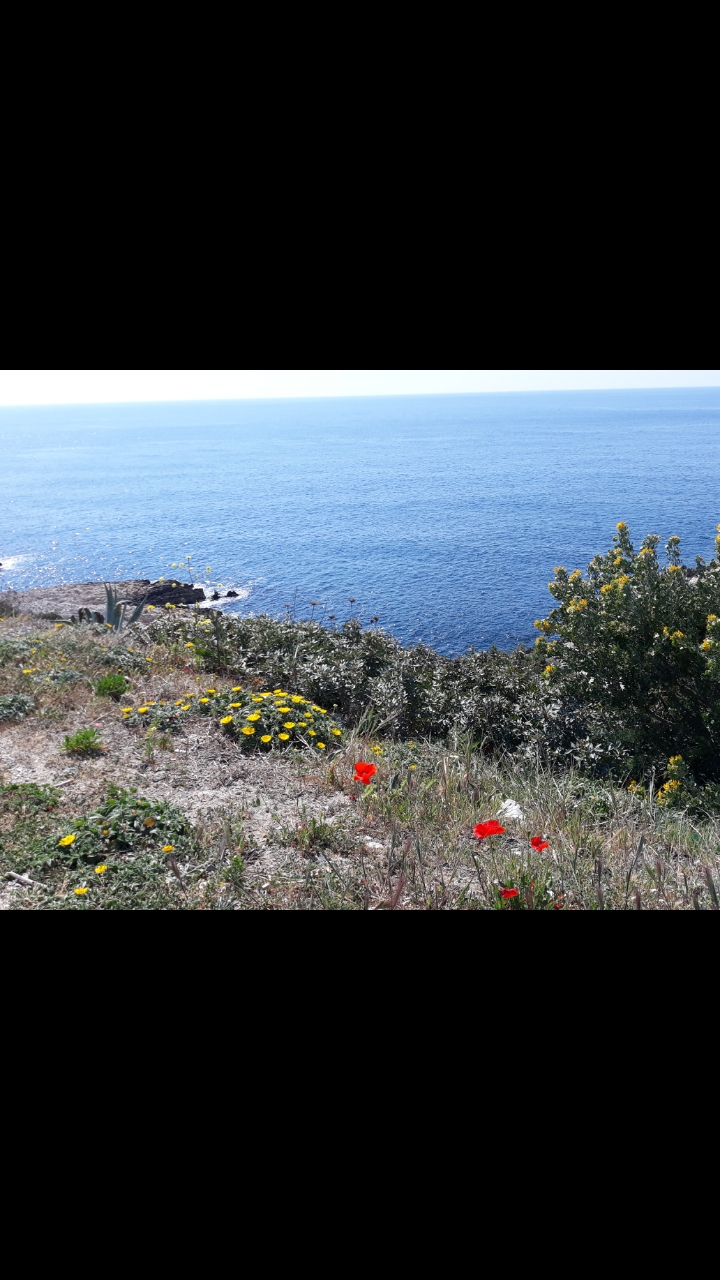 Annexe Screenshot_20200403-163600_Gallery[1].jpg