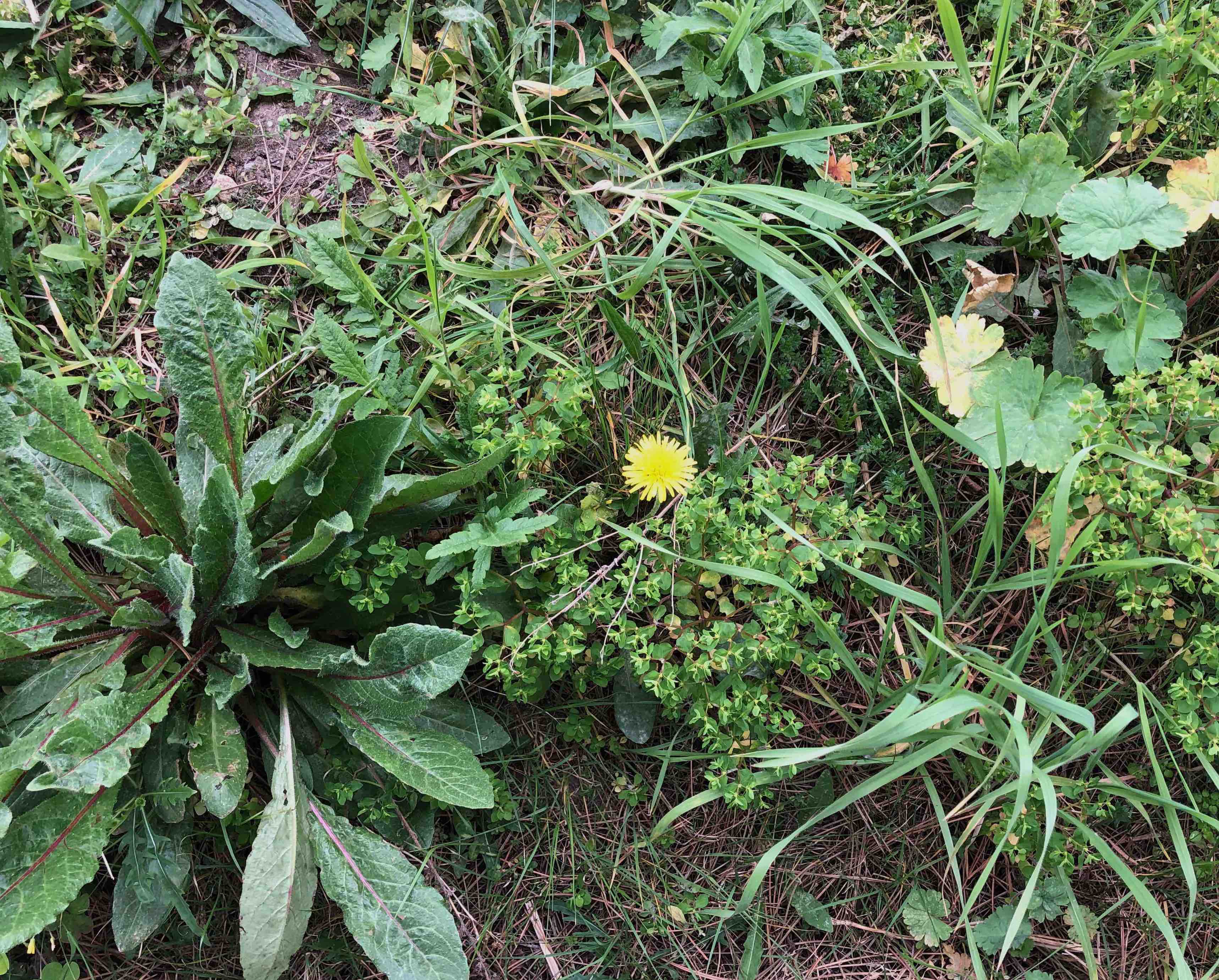 Annexe 8329petit.jpg