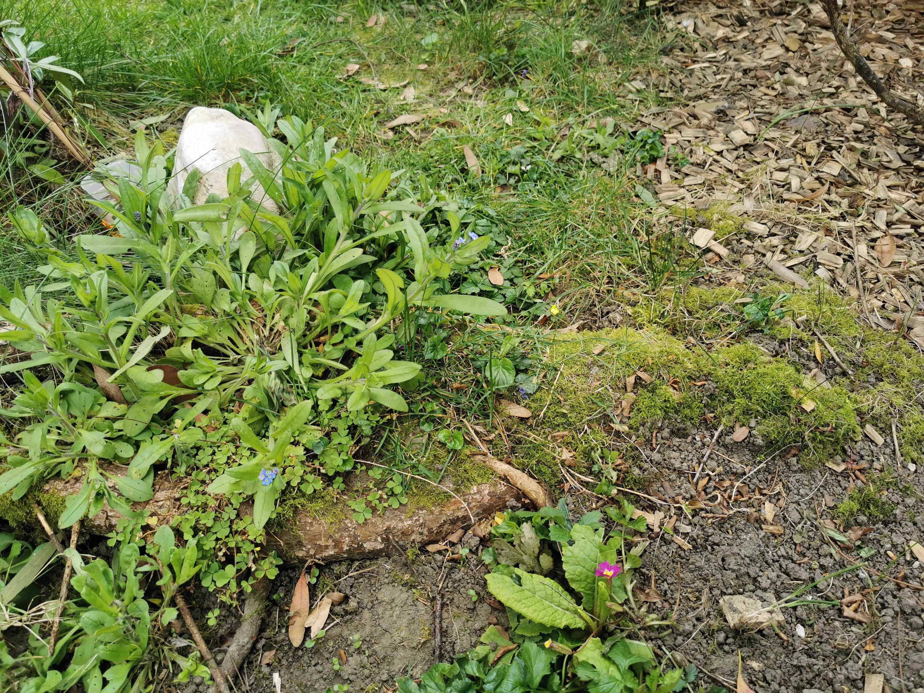 Annexe biodiversitédim.jpg