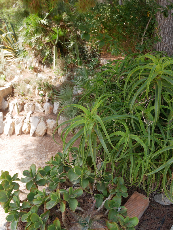 Annexe Biodiversité.JPG