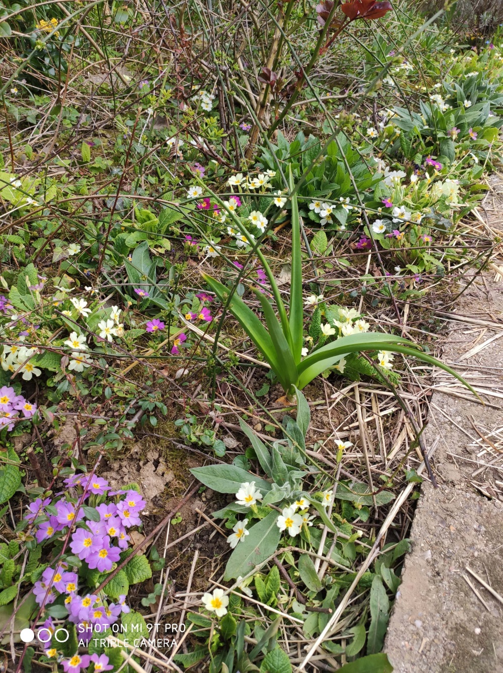 Annexe 91969263_271633770522892_1387937321860464640_n-min.jpg