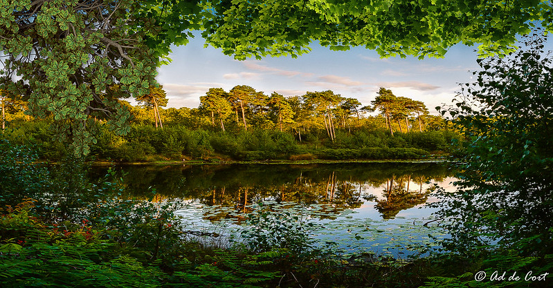 Annexe 48710971178_cdd6c473d9_c.jpg